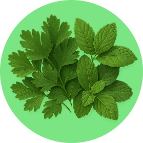 Parsley & Mint