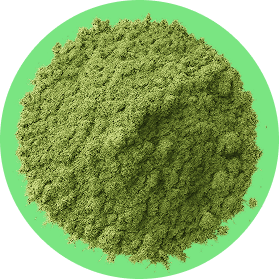 Chlorophyll
